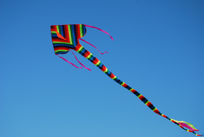 吸引眾目的造型風箏